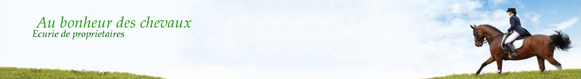  Au bonheur des chevaux